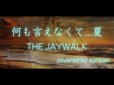 THE JAYWALK / 何も言えなくて…夏　歌ってみた！【covered by sonkan】
