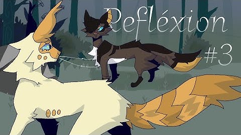 Refléxion | Mothwing PMV MAP [ 3 ]