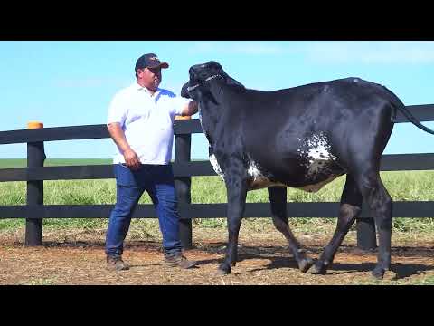 LOTE 26 3284 CT