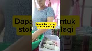 Mami Dapat Ikan Lagi