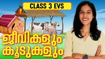 Class 3 EVS |Home and Nest / വീടും കൂടും | Important Questions | Exam Winner