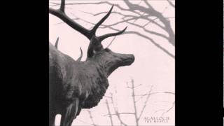 Video thumbnail of "Agalloch - A Celebration For The Death Of Man..."