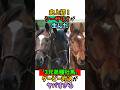 史上初！シーザリオが生んだ"3兄弟種牡馬"ダービー対決がヤバすぎる#競馬 #horse