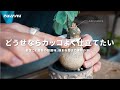 剪定こそ園芸の醍醐味。樹形を整えて理想の姿に。｜強剪定｜塊根植物｜ユーフォルビア｜アデニアグラウカ