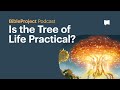 Is the Tree of Life Practical? - BibleProject Podcast