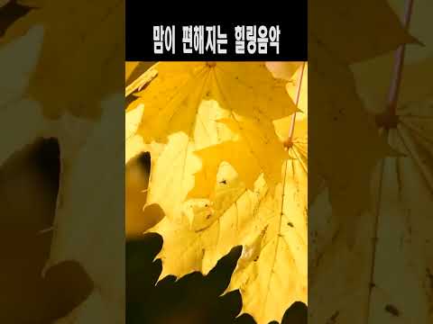 맘이 편해지는 힐링영상 무거운짐 <strong>잠사</strong> 내려 놓고 !!(노래강사 손영주TV,노래교실,노래강사자격증반 모집 031-923-0381)@shorts