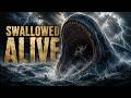 He Was Swallowed by a Giant Fish… And Lived