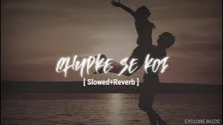 Chupke se koi aayega [ Slowed  Reverb ] | Udit Narayan, Alka Yagnik  #slowedreverb #lofi