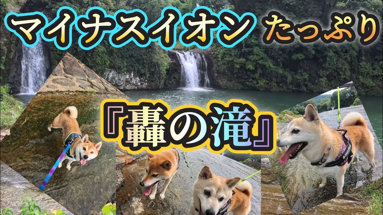 【滝見】轟の滝で癒されてきました😍