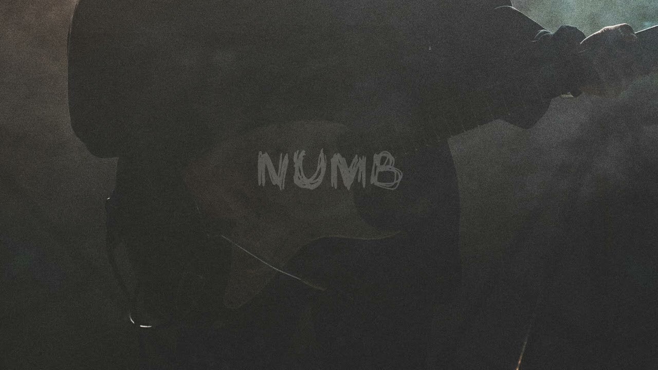 Linkin Park - Numb (TAIMANOVA UA cover)