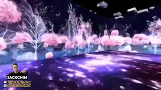 Interactive Projection Design Plan