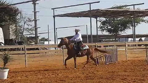 Sharon Hershko with Sidi Novis Extreme Cowboy IEF#...