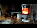 Cat loves warm fire