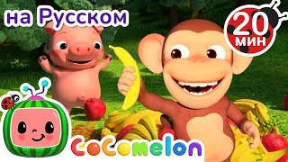 Яблоки и бананы🍏🍌 | CoComelon на русском — Детские песенки | Мультики для детей