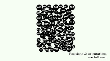 An experimental method to measure the strain field inside a granular material: (highly compressed)