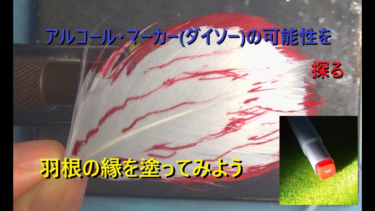 アルコールマーカー(ダイソー)の可能性を探る　羽根の周囲を赤く塗る
