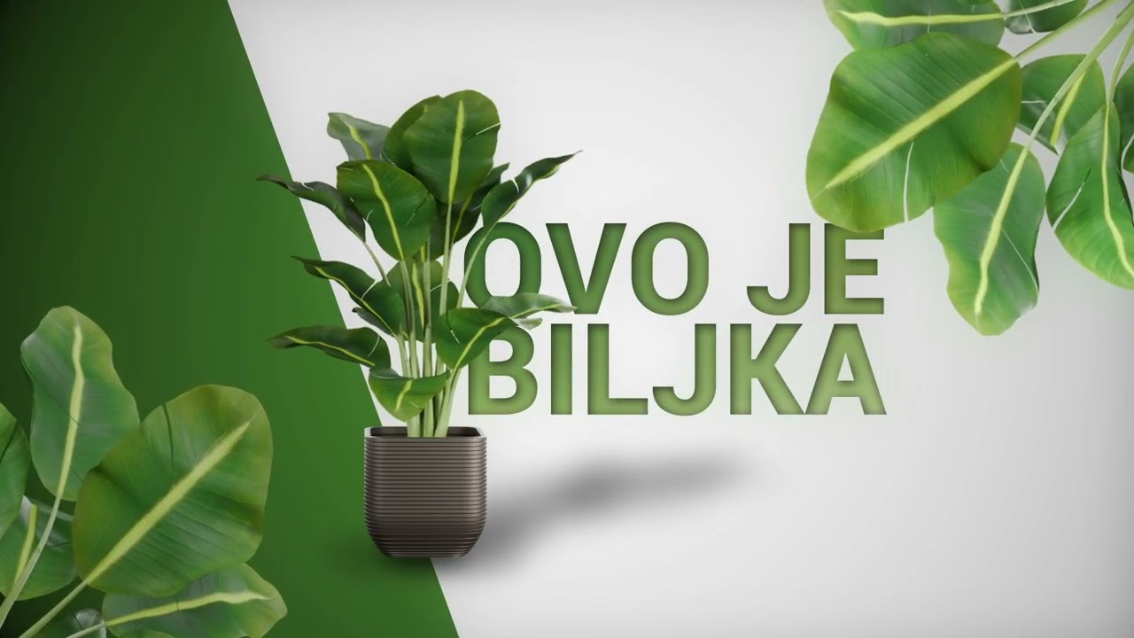 biljka
