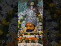 Video🌸 Khatu Shyam Ji Darshan 🙏 | Aaj Ke Divya Darshan | Jai Shree Shyam #shorts #viral #trending