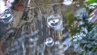 Nature - Bubbles