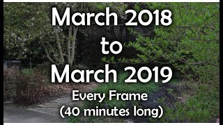 Full Length Time Lapse of a Garden Over One Year (March 2018 to 2019  40 minutes total)