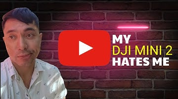 My DJI MINI 2 Hates Me | Remote Control keeps getting disconnected