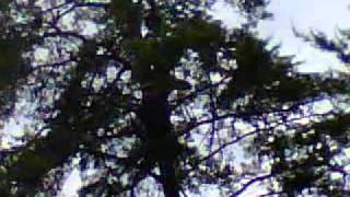 VID-20110427-00005