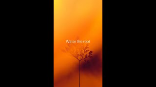 Water the root