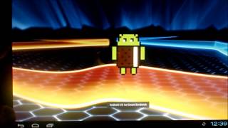 Celebrity Android 4.0.4 Ice Cream Sandwich Easter Egg - Nyan Cat Android Net Worth