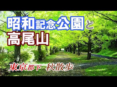 東京 散歩 デート 秋