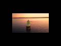 strait of hormuz ...#iranisraelwar #americairan #straitofhormuz #indianforeignminister