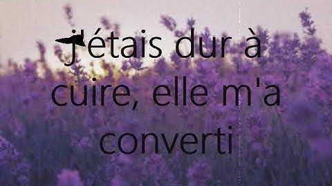 Je me suis fais tout petite - pomplamoose (paroles)