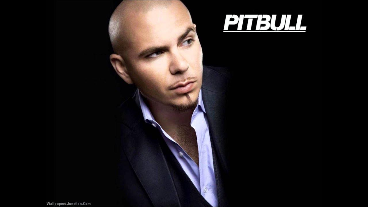 Pitbull suave. Pitbull suave