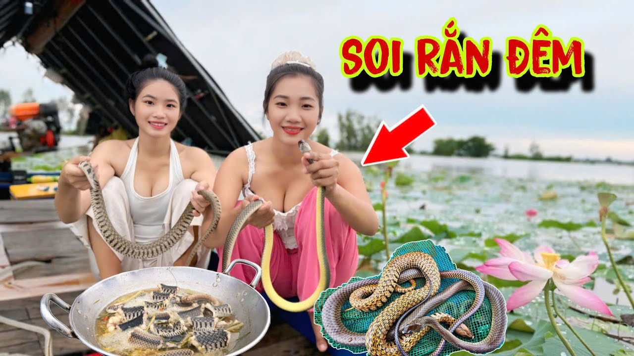 QUÁ NGUY HIỂM ,Săn Đêm “ ĐỤNG NGAY RẮN KHỦNG “ Dưới Gốc Cây Cổ Thụ Trăm Tuổi | Lộc cá lăng 