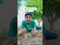 امي قتلت ابوي بجرة الغاز اشتراك بالقناة اكسبلور لايك للمقطع كوميديات ضحك ترند Comment Comedy