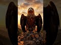 “ASMR Magic: Golden Eagle Appears From Nowhere 🦅✨”