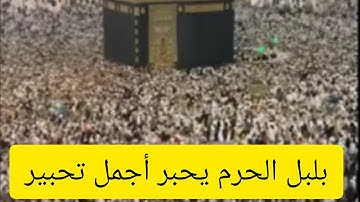 تسجيل من داخل الحرم | تلاوة سلسة عذبة تخشع القلوب للشيخ عبدالله الجهني ليلة (٢٤) ١٤٤٠ هـ