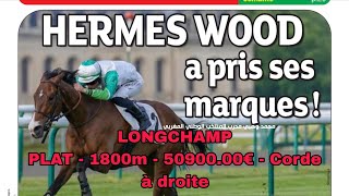 15 Juin 2026 Pronostic Pmu Longchampplat - 1800M - 50900.00 - Corde À Droite