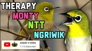 MONTY NTT NGRIWIK || TERAPI MONTY NTT NGRIWIK
