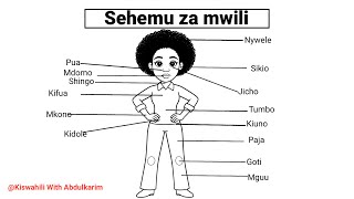 Body parts in Swahili