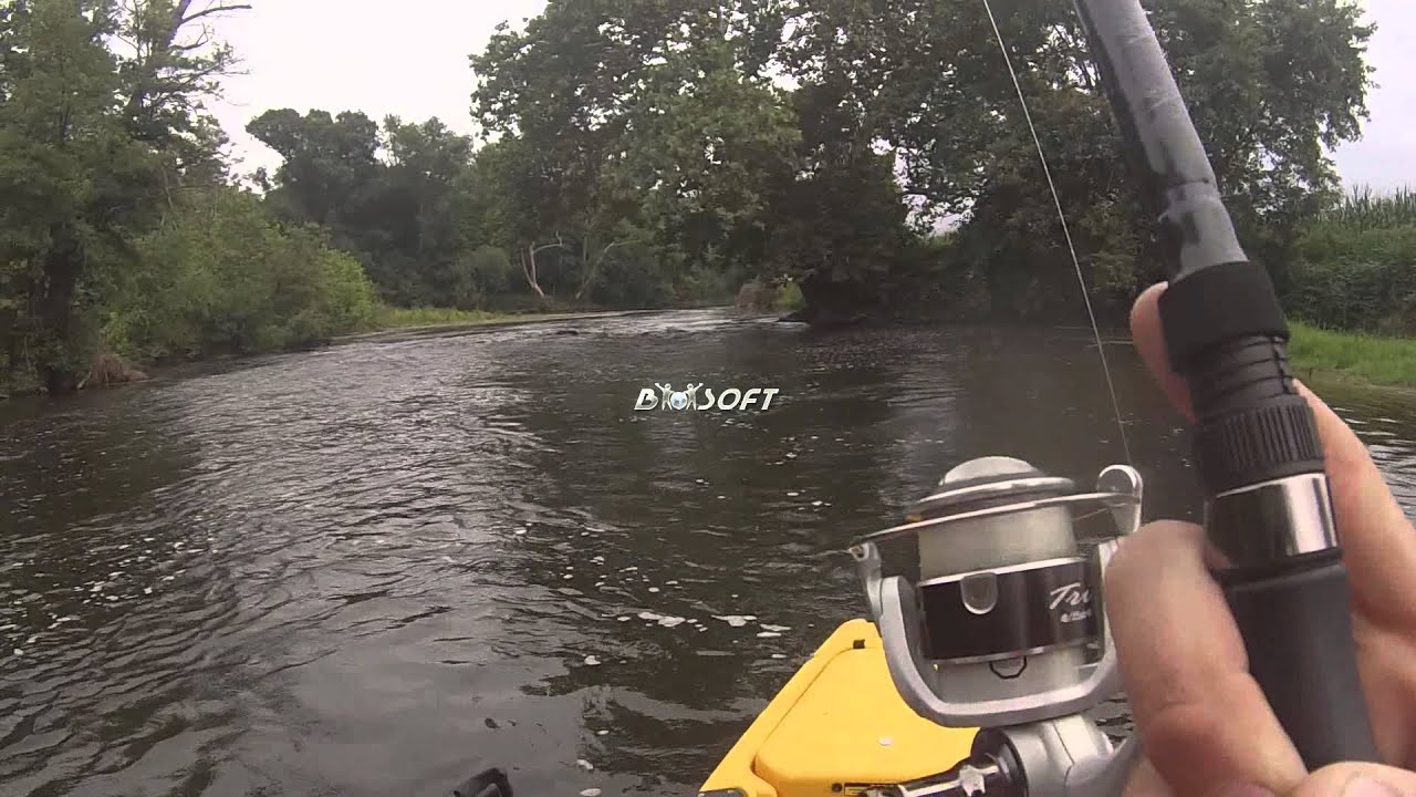 smallmouth fishing in the south branch raritan river YouTube