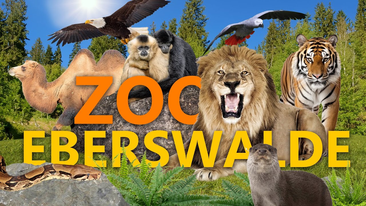 Zoo Mainz: Exotische Tiere im Stadtpark? | Zoo-Eindruck