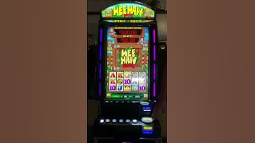Bally Hee Haw Video Slot Machine
