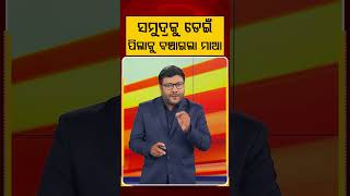 ସମୁଦ୍ରକୁ ଡେଇଁ ପିଲାକୁ ବଞ୍ଚାଇଲା ମାଆ | Mother Hero | Beach Safety | Odisha News | Argus News