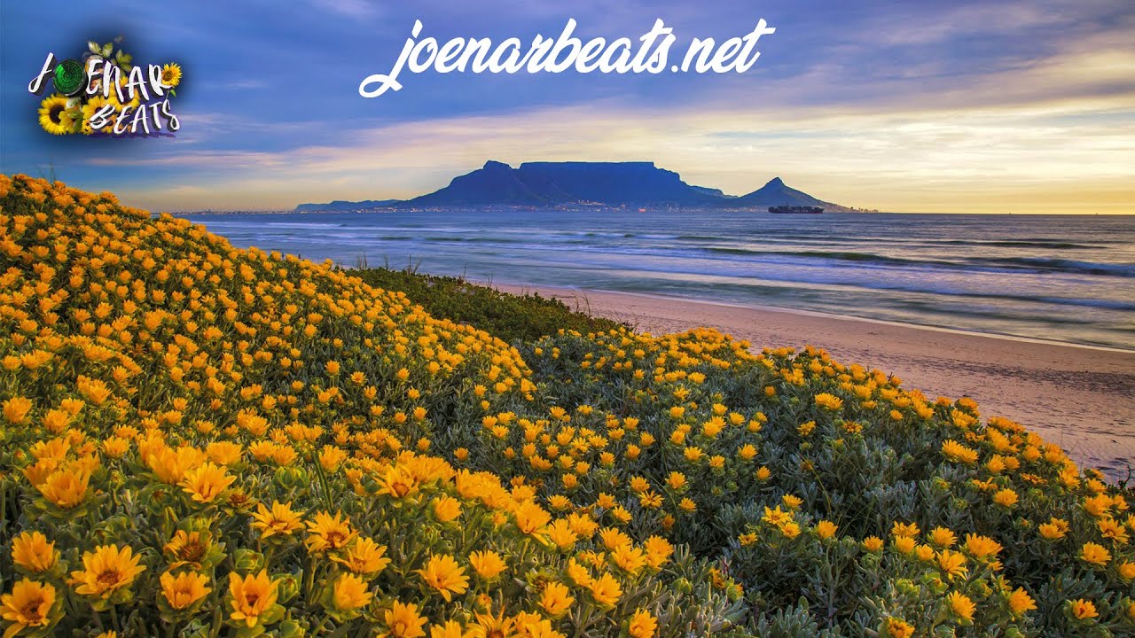 Nature Beat 5 | One for the Waves | Prod. Joenar Beats