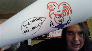 The DUNCE CAP OF THE MONTH Let's Veto Beto, Court FAIL, Model In Pain   THE CORRECT VIEWS 3 16 2019