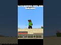 day11 running until find farlands #minecraft