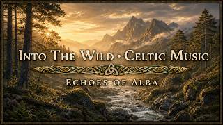 Into the Wild|Celtic Music for Deep Focus & Relaxation