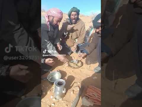 عرش اولاد نايل اهل النية واكل روينة 