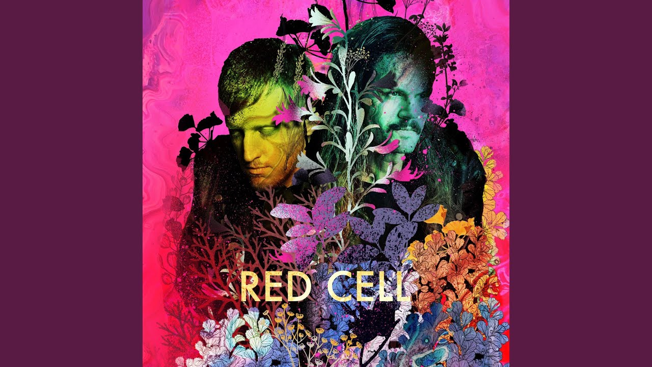 Going Back Before Going On