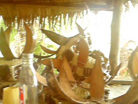 MPEG0066